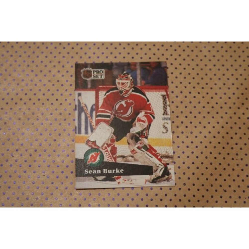Sean Burke #132 Hockey Card (1991)